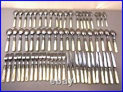 66 pcs Set Eme 18/10 Italy Pearlized Handle Fork Spoon Knives Flatware Napoleon