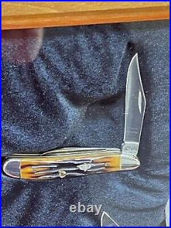 Case XX Shepherd Exclusive Dr Amber Pocket Knives 4X Case Wood Showcase Pisplay