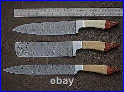 Handmade Damascus steel Kitchen Knife Set 3 Pcs Professional Chef Knives Set