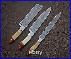 Handmade Damascus steel Kitchen Knife Set 3 Pcs Professional Chef Knives Set
