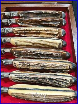 VTG Abercrombie & Fitch Steak Knife Set 8 Faux Deer Antler Handles Wooden Chest