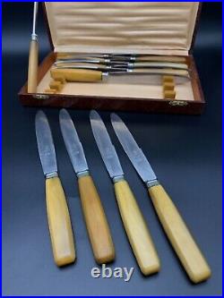 Vintage Horn Table Knives Set Old 12-knife box, marked stainless steel knives